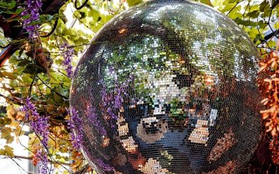 Foodtrends 2026 in de horeca