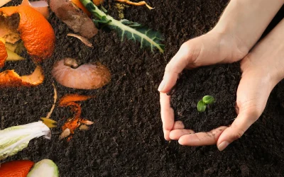 Hoe wij bij Groenland verspilling minimaliseren in de keuken